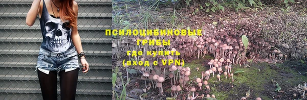 мяу мяу мука Балабаново