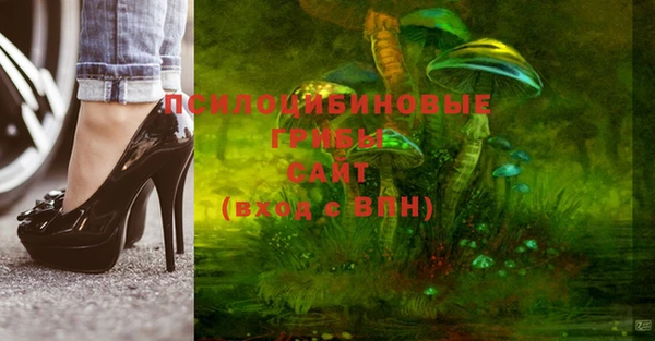 шишки Строитель