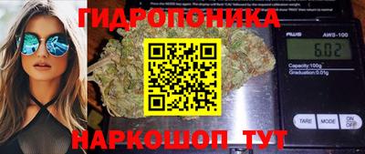 ГАЛЛЮЦИНОГЕННЫЕ ГРИБЫ Бердск
