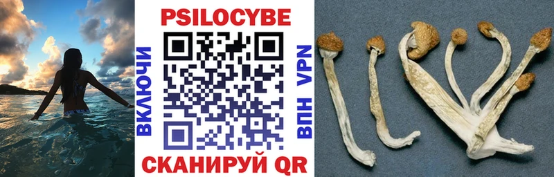 Псилоцибиновые грибы GOLDEN TEACHER  Великие Луки 