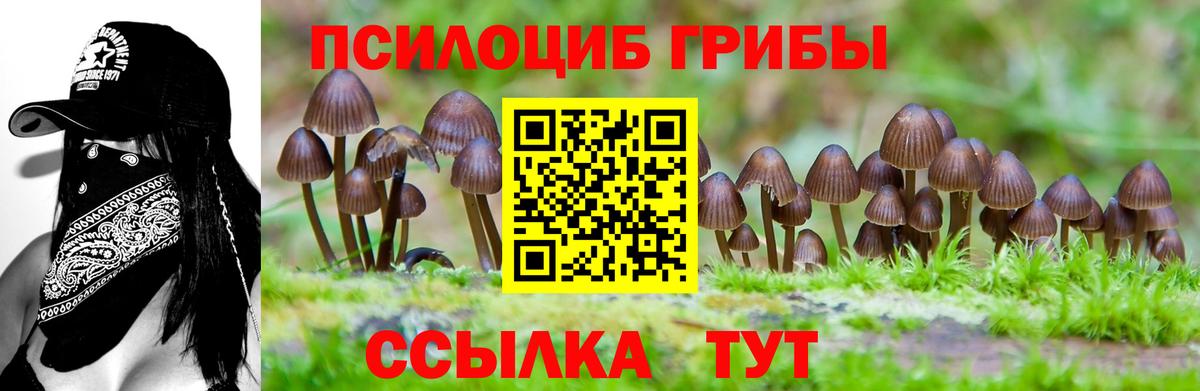 Галлюциногенные грибы Psilocybe  Галлюциногенные грибы Psilocybe  Великие Луки  Вход с VPN 