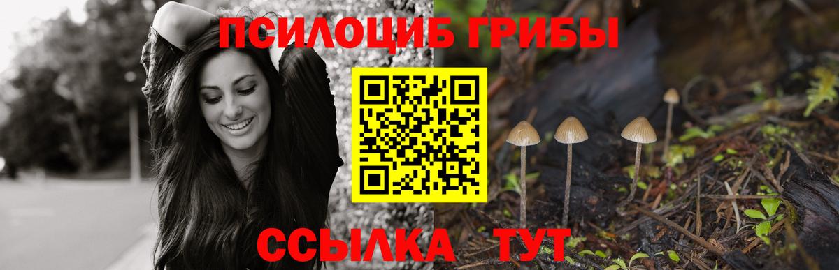 Галлюциногенные грибы GOLDEN TEACHER Великие Луки